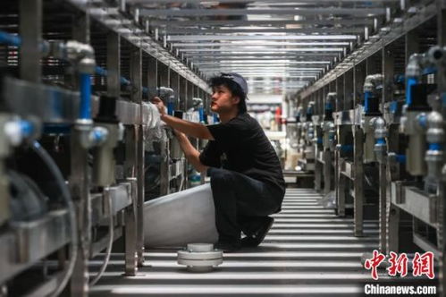 江西贛州 以工業(yè)為抓手 推動革命老區(qū)高質(zhì)量發(fā)展